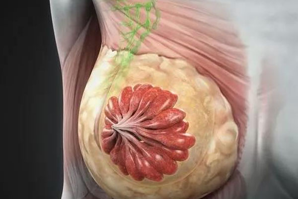 乳腺结节就是乳腺增生吗