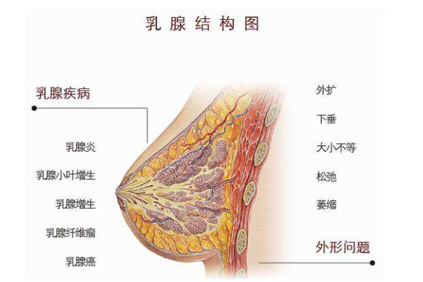 肉芽肿性乳腺炎：可能比